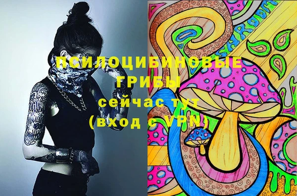первитин Абаза