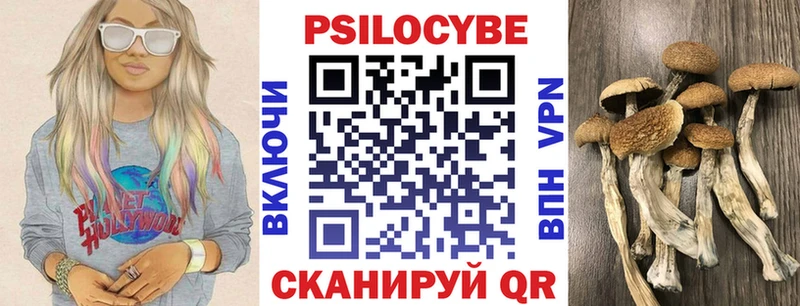 Галлюциногенные грибы MAGIC MUSHROOMS  Томилино 